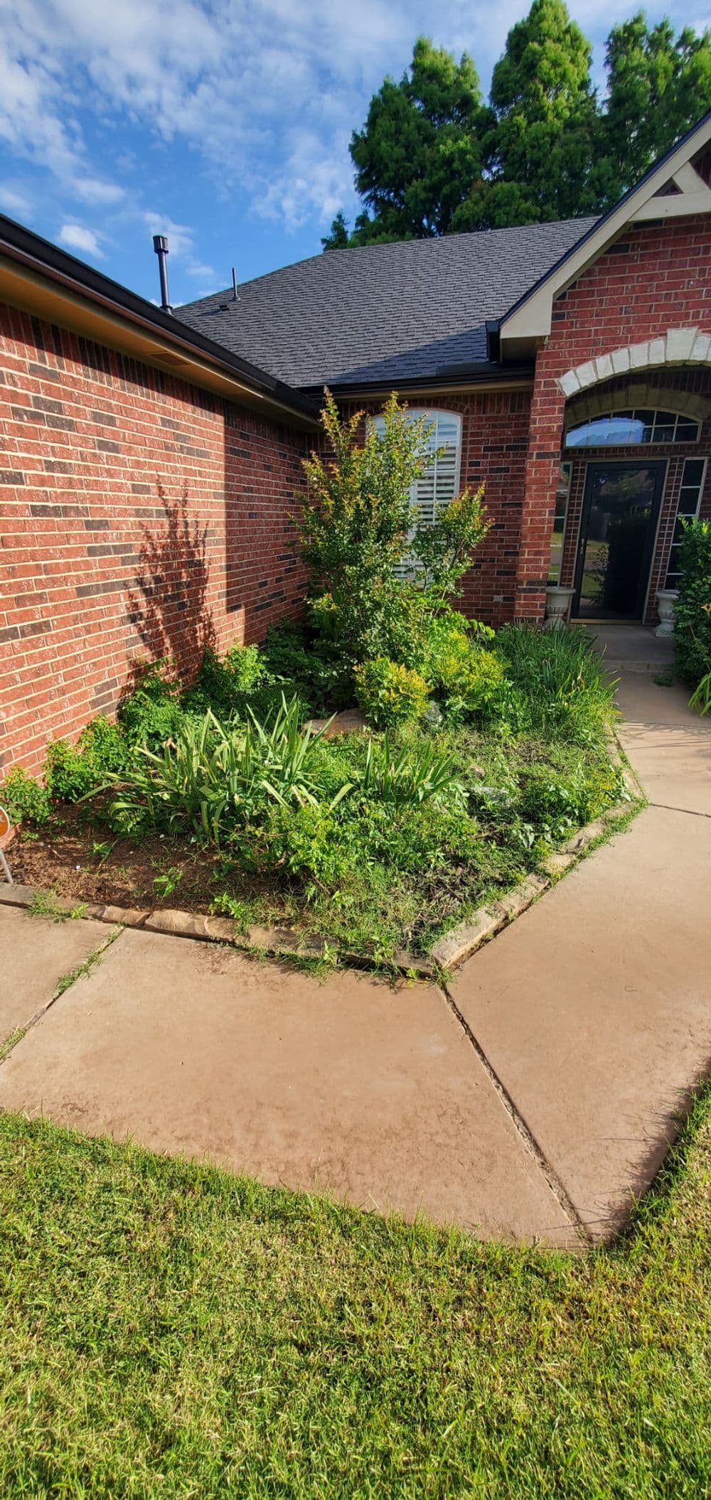Lush garden with varied plants and flowerbeds near a brick house entryway.