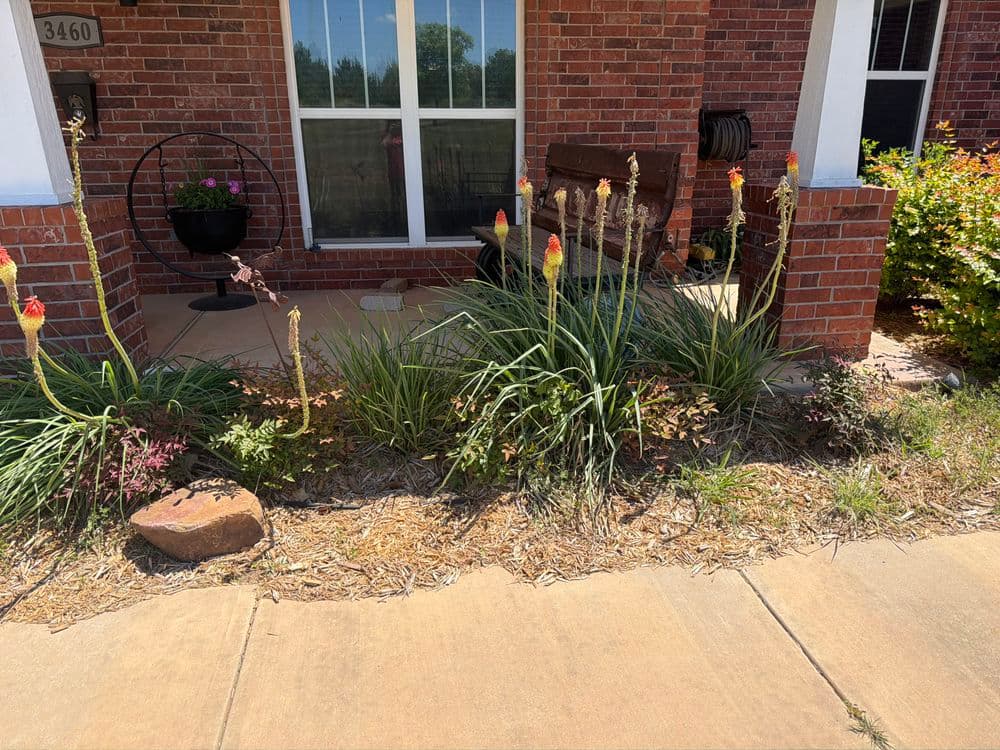 Flowering garden with colorful plants and a brick home entrance in sunny weather.