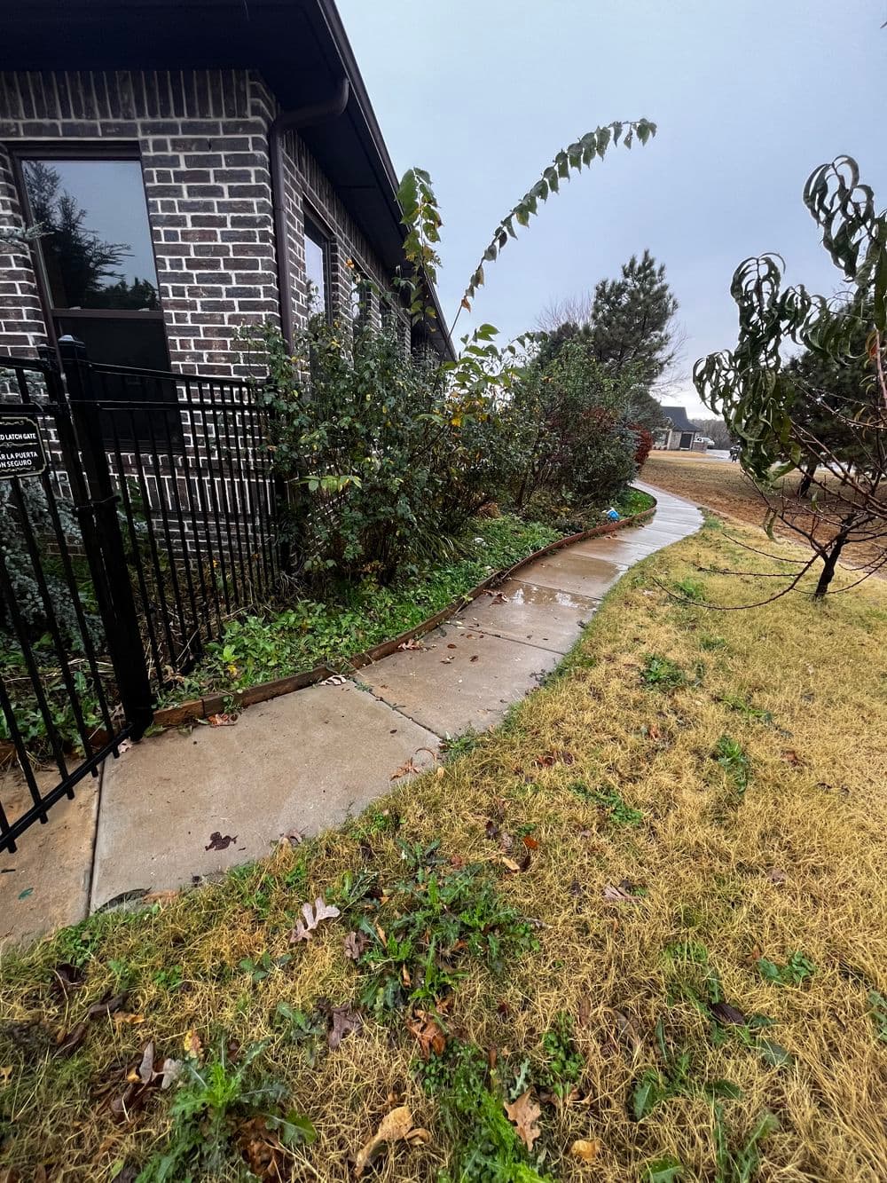 Sidewalk winding beside a house, flanked by lush greenery and wet ground after rain.