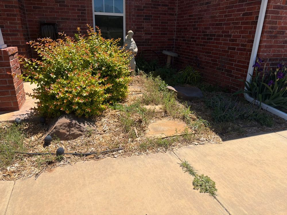 Overgrown garden area with stones, a bush, and a statue near a brick house entrance.