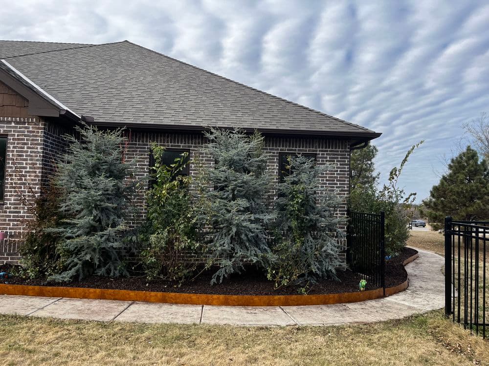 Home exterior featuring ornamental trees, brick facade, and landscaped walkway.