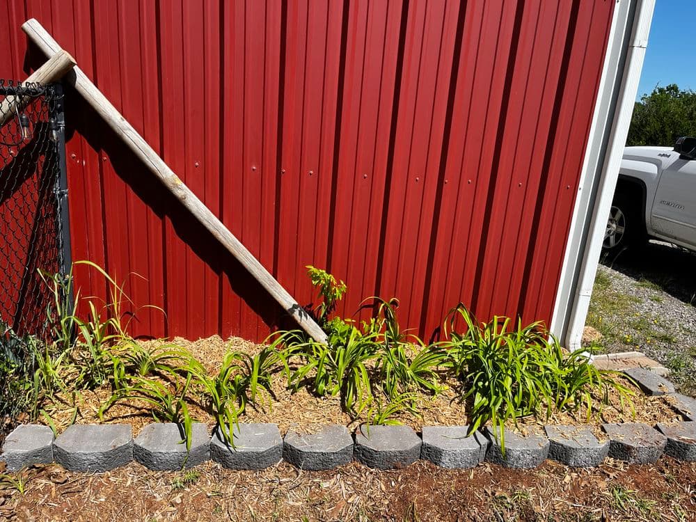 Garden bed with green plants and stone border beside a red barn wall.
