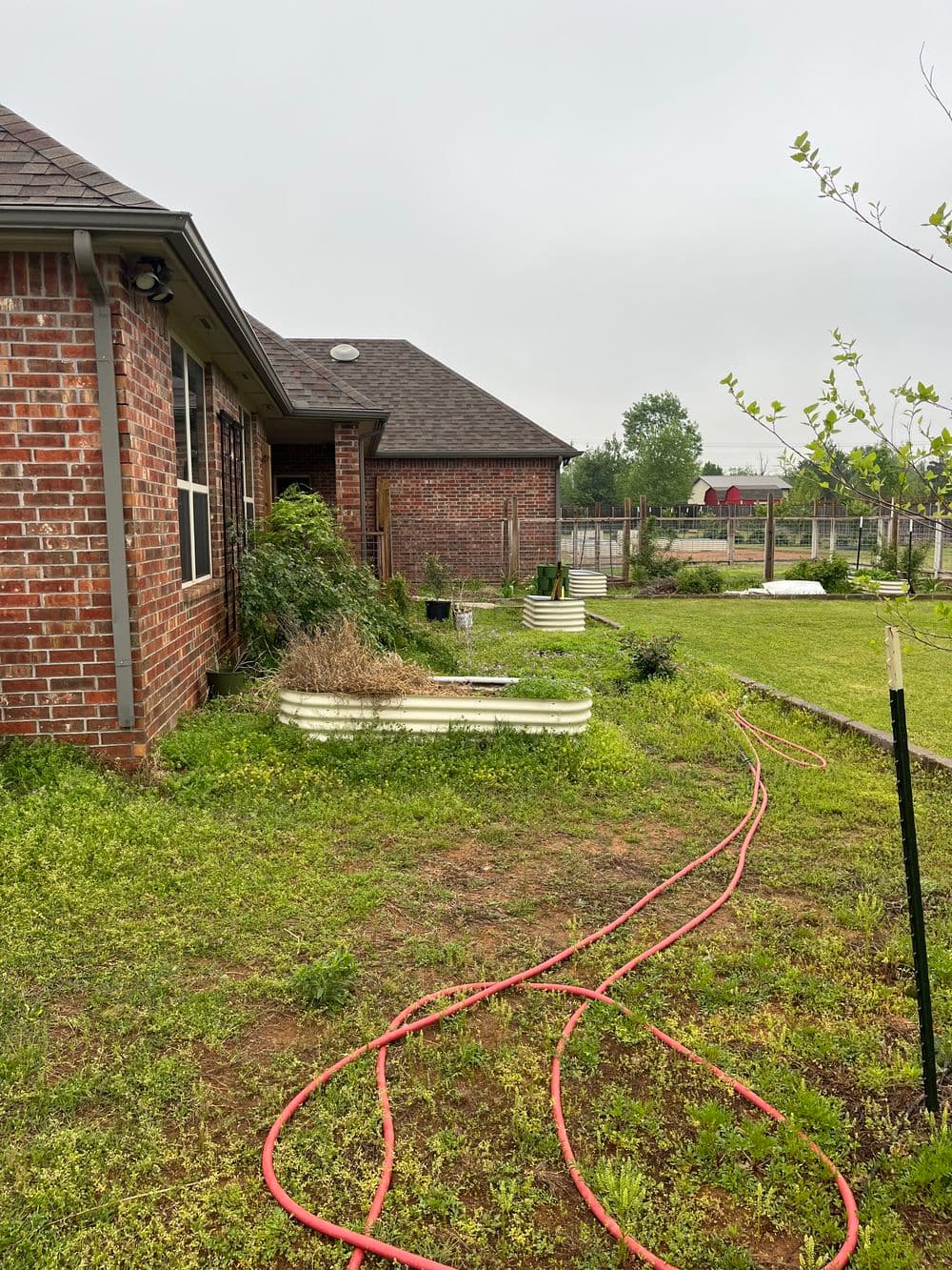 Overgrown backyard with brick house, garden hoses, and fencing in cloudy weather.