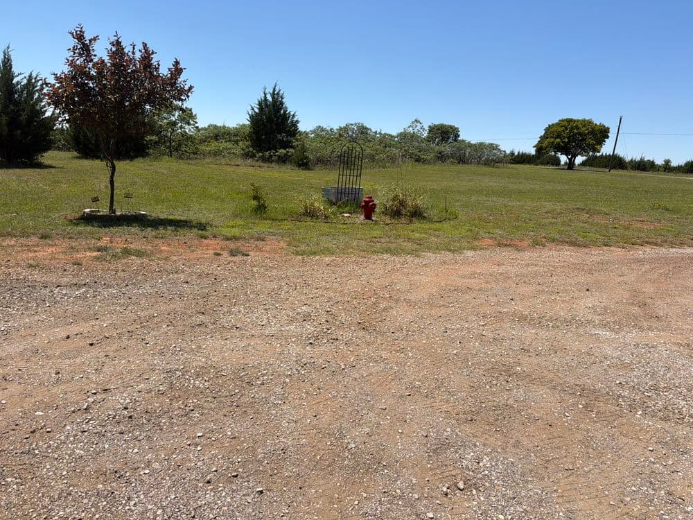 Open grassy field with a red fire hydrant and a small tree under a clear blue sky.