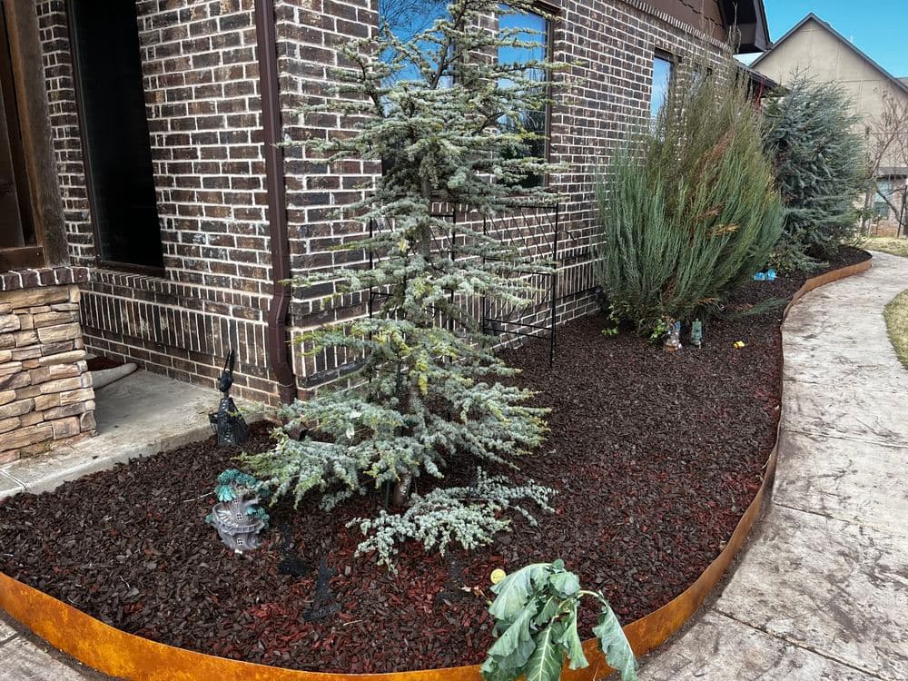 Landscaped front yard featuring evergreen trees, mulch, and decorative plants by a brick home.