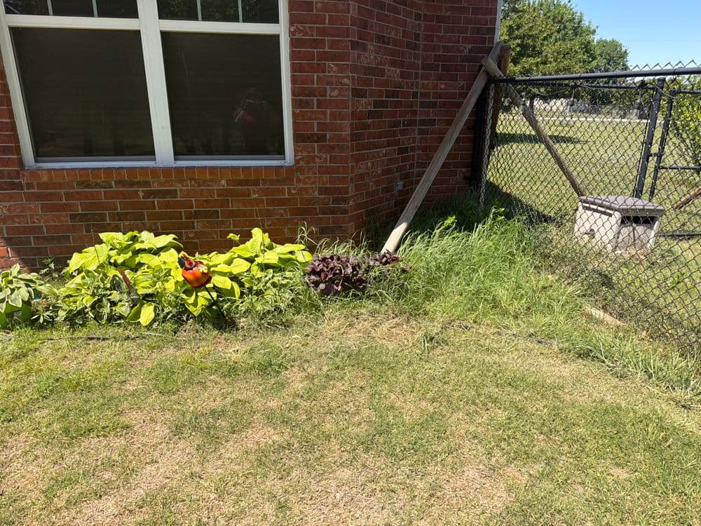 Lush garden with green plants and a brick house near a fenced area on a sunny day.
