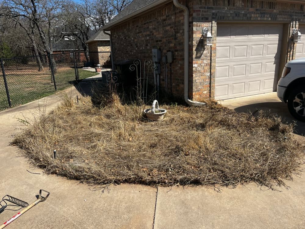 Overgrown garden bed with dry grass and weeds near a driveway and garage.