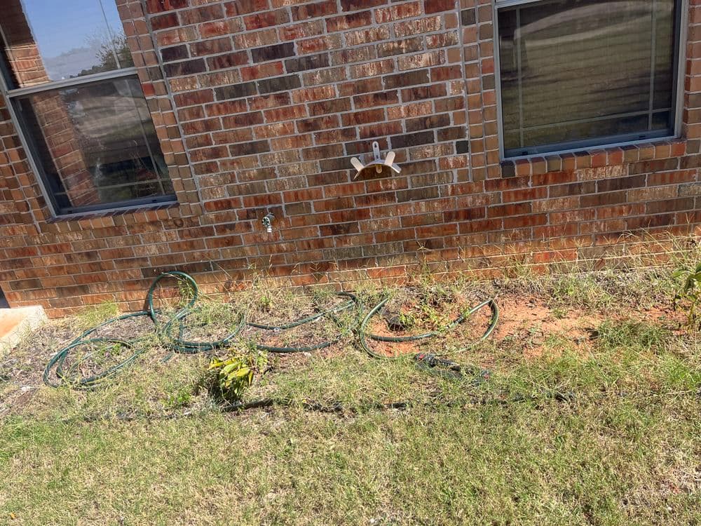 overgrown garden area with exposed hoses near a brick wall and windows